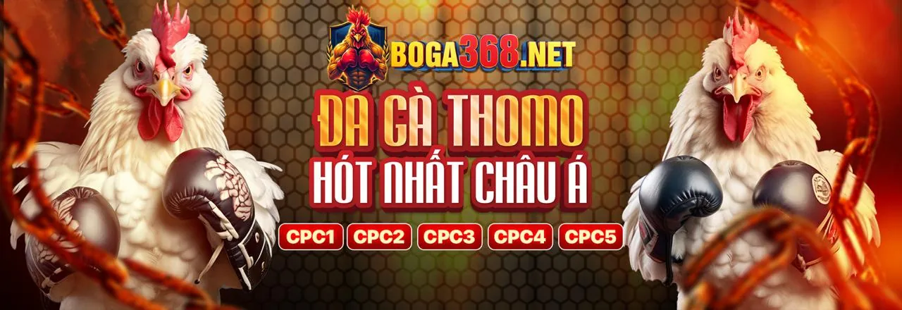 Hình ảnh sân vận động sôi động cho cá cược thể thao 96win